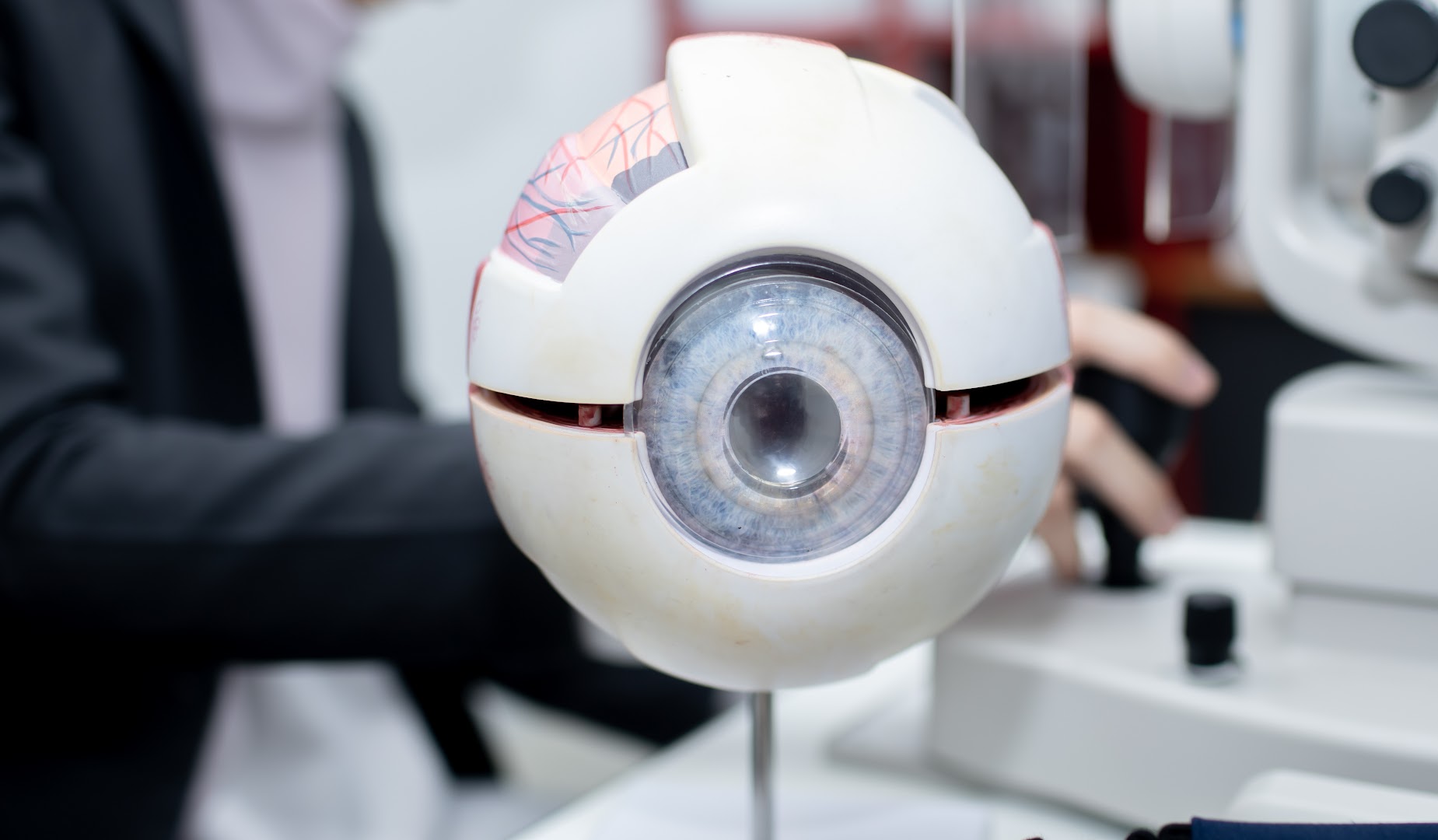Nour Optometry — photo 4