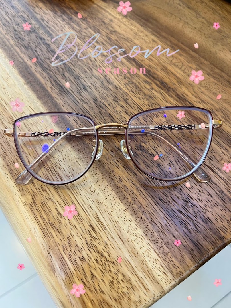 VISION TALK OPTICAL — photo 4
